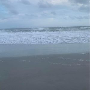 Meet your Posher, Kylie